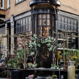 European Garden Arrangement